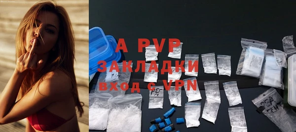 сатива Богданович