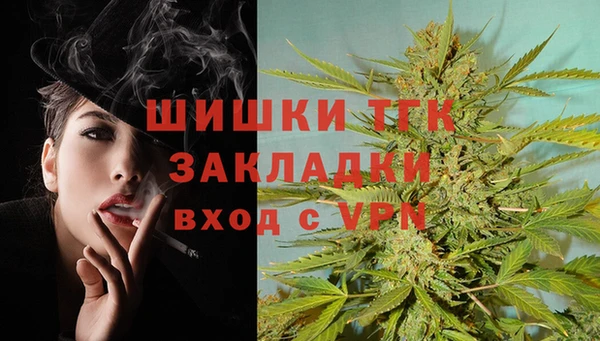 сатива Богданович