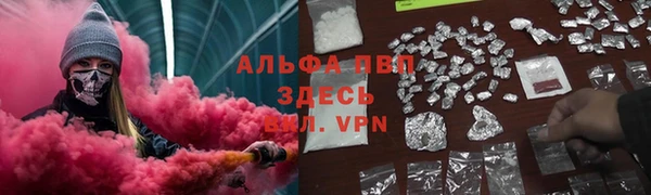 гидра Богородск