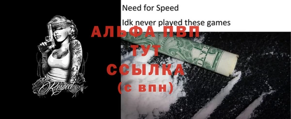 сатива Богданович