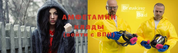 гидра Богородск