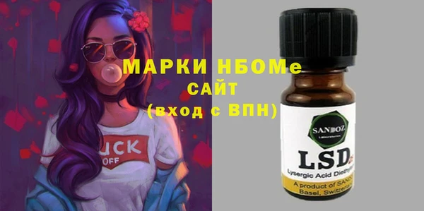 гидра Богородск