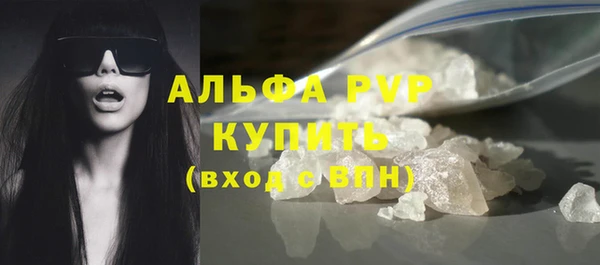 сатива Богданович