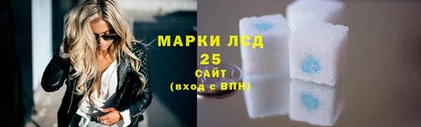 гидра Богородск