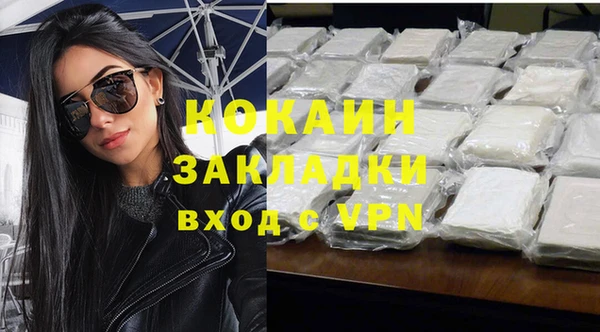 гидра Богородск