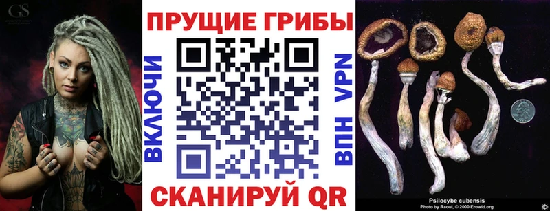 Галлюциногенные грибы Psilocybe  Калязин 